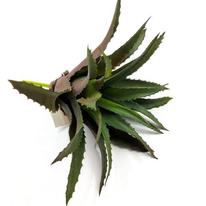 Planta Suculenta Artificial con Decoración de Hoja de Piña <span class=keywords><strong>para</strong></span> Uso en Interiores y Exteriores, Decoración de Jardinería, <span class=keywords><strong>Plantas</strong></span> Suculentas <span class=keywords><strong>Artificiales</strong></span> - Product Image 3