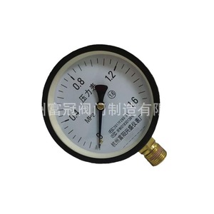 Fábrica de Instrumentos de Automatización de Hangzhou Fuyang No. Manómetro 2 Y100 0-1.6 Mpa para uso en agua, aceite e hidráulica - Product Image 4