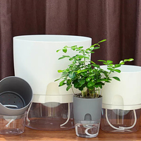 Pots à absorption d'eau automatique créatifs, Pot de fleurs en corde de coton à arrosage automatique, Pot de fleurs en plastique Transparent, Pot de fleurs paresseux