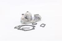 7700864596 2101000Q2B 2101000QAK 210103314R Pompe à eau avec joint et boulon pour RENAULT NISSAN