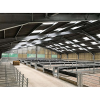 Estructura de acero prefabricada Edificio de granja de vacas Instalación de ganado duradera y de alta calidad