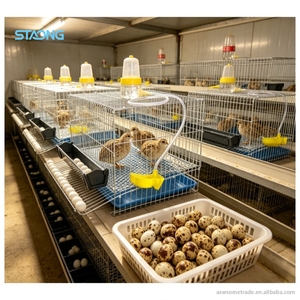 Corrosion Resistant Multi Species Bird Rearing Enclosure Optimized for <strong>Egg</strong> <strong>Harvesting</strong> in Controlled Environments - Product Image 1