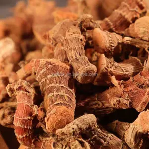Venda por atacado de ervas secas premium Galangal raiz de galanga chinesa natural pura produtos de ervas
