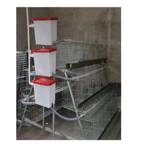 Profesional aves de corral diferente tamaño capa de jaula de pollo de granja diseño de <span class=keywords><strong>la</strong></span> casa - Product Image 2