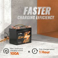 Baterai LiTime 12V 100Ah Group24 LiFePO4 dengan Bluetooth dan Proteksi Suhu Rendah untuk RV, Motor Trolling Kapal, dan Sistem Tenaga Surya