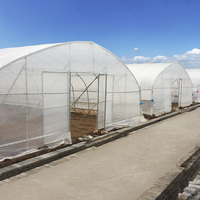 Serre agricole à voûte unique pour la culture des légumes, serre commerciale