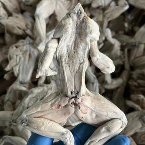 הקפאה בריאה קפואים יבשים חטיף לחיות מחמד תה מזין חינם עבור כלבים גדולים בינוניים מזון מיובש בהקפאה - Product Image 2