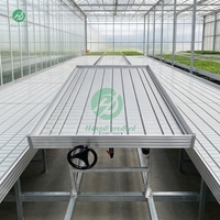 Serre agricole multi-travées en alliage d'aluminium à niveaux mobiles, étagère de culture intérieure multi-niveaux, grande culture verticale