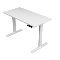 Bureau électrique debout à moteur unique, hauteur réglable, assemblage simple, levage électrique robuste et silencieux
