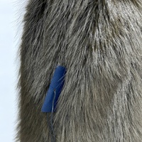 Manteaux épais pour femmes les plus vendus - Manteaux d'hiver chauds et épais - Tissu personnalisable avec logo
