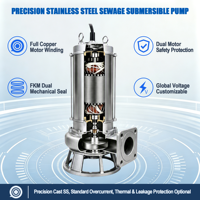 Pompe submersible pour eaux usées en acier inoxydable 304 YL WQ-S, à bride carrée GB, anti-colmatage, moteur entièrement en cuivre, IP68, basse pression, usage commercial