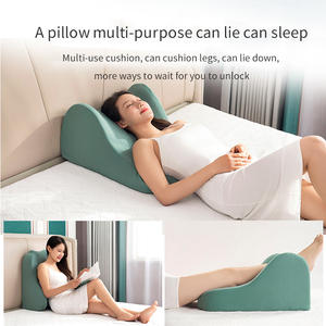 Trung Quốc Nhà Máy xuất khẩu bọc lớn trở lại Giường đệm - Product Image 2