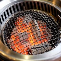 Grille de BBQ d'acier inoxydable faisant cuire le gril de grillage/four jetables de grillage faisant cuire le gril de maille de BBQ de four/la grille gril de barbecue