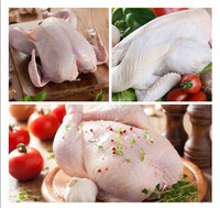 Machine à épiler les plumes de poulet en acier inoxydable, machine à épiler les plumes de poulet et chauffe-eau