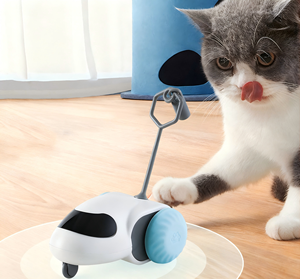 Jouet pour chat de luxe, petit, avec plumes, électrique, interactif, automatique, en forme de boule, réaliste, en taffetas, sûr - Product Image 5