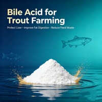 Additif alimentaire à 30% d'acides biliaires pour protéger le foie, améliorer le FCR et prévenir l'hyperlipidémie chez la truite arc-en-ciel, le saumon et les poissons d'eau froide en aquaculture