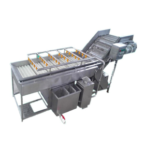 Lavadora de Frutas y Verduras Pequeña de Alta Calidad, Fácil de Usar, Precio de Venta - Product Image 4