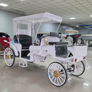 Stylish Electric Sightseeing Vehicle Perfect Horse Carriage Wedding Style Park Sightseeing Tour Carriages Special Transportation - Product Image 2