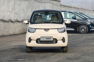 ヘンリーXiaohuFEVファミリー電気自動車HongruixiaohuEVカーRHDピュアエレクトリックXiaohu2シーターミニカーリトルタイガー - Product Image 2