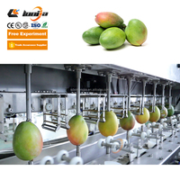 Machine à éplucher les fruits et légumes automatique à 8 ou 16 stations, best-seller, pour éplucher les mangues, éplucheur commercial de mangues
