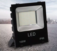 Reflector LED de 100W de Aluminio, Venta Directa de Fábrica, IP65 5054 SMD, Blanco Frío/Blanco Cálido, para Iluminación Exterior