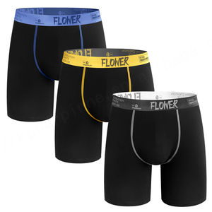 Usine en Chine de haute qualité Logo audacieux lettre ceinture élastique Logo personnalisé coton hommes culottes sous-vêtements pour adultes hommes - Product Image 4