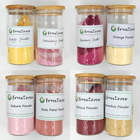 Poudre de jus de melon cantaloup Fruiterco, poudre de melon Hami, poudre de cantaloup