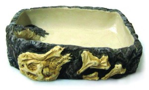 Bò sát nước món ăn bò sát đồ trang trí - Product Image 3