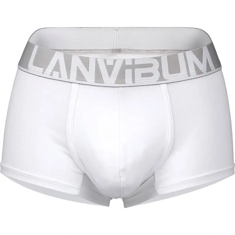 Men's Underwear Boxer Briefs Cotton Polyester No Ride-up Trunks Sports Underwear