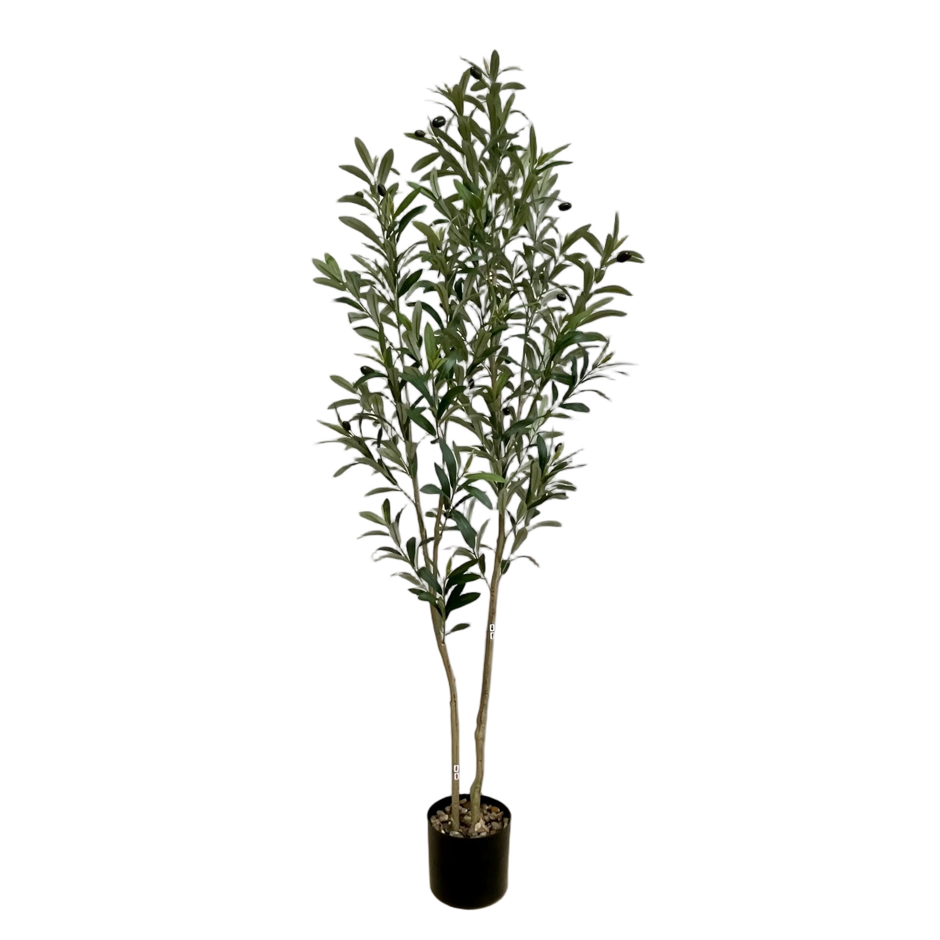 Modelo C de 150 cm.