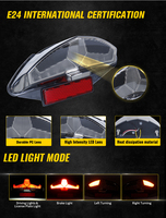 E24 Feu arrière à LED pour BMW F650 GS/Dakar/ F800R/S/ST/ G650GS/ R1200GS Adventure