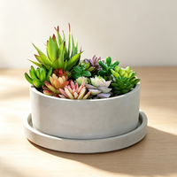 Pot de fleurs rond en béton mat avec plateau de base, pot en ciment pour succulentes, style INS, vase de bureau, logo personnalisé, approvisionnement en gros