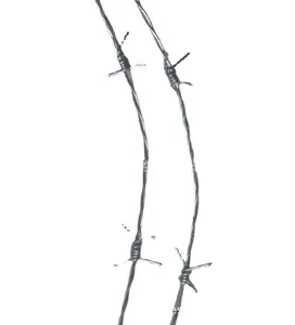 Lama pugnatrice corda di vendita diretta della fabbrica elettroplaccato lama pugnatrice corda anti arrampicata recinzione filo spinato gabbia di rotolamento