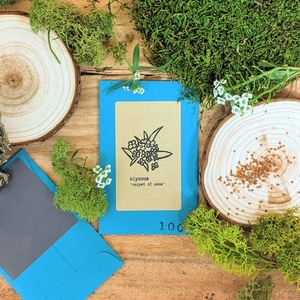 Trang Trại Phong Cách Đất Nước Thân Thiện Với Môi Tâm Phát triển Bộ Dụng Cụ Trong Nhà Nở Khoa Học Kit Trẻ Em Chậu Hoa Trồng Món Quà Sinh Nhật Ý Tưởng - Product Image 6