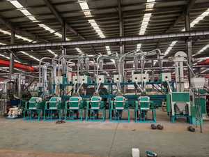Ligne de production de farine de blé et de maïs à fonctionnement stable, usine de transformation de céréales entièrement automatique pour la production de farine de blé et de maïs - Product Image 1