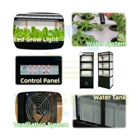 Système hydroponique DWC, armoire verticale, kit d'eau profonde, kit de plantation modulaire personnalisé et mobile pour la laitue, le bureau et la serre