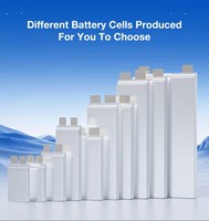 Batterie haute densité énergétique 265 Wh/kg 4S 6S 12S 13000 mAh 11000 mAh, adaptée aux drones, haute densité énergétique, livraison rapide.