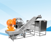 Hoge Snelheid Grapefruitschil Olie Extractiemachine Citrusolie Verwerkingsfabriek Citroenolie Destillatiemachine