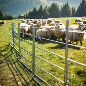 Panneaux de clôture robustes de haute qualité pour enclos à moutons, panneaux de pâturage économiques à vendre - Product Image 5