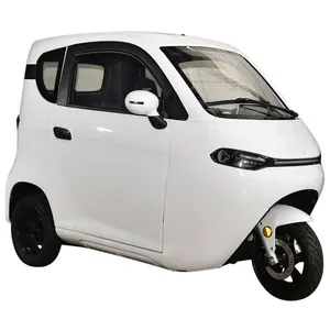 European EEC Mobility Scooter Cabin Mid Drive 3000w 72v Old People Mexico 3 Wheel Electric Operated Tricycle