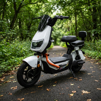 Scooter électrique à batterie au plomb-acide avec cadre en acier à haute teneur en carbone et pneus à vide de 14 pouces pour la conduite hors route