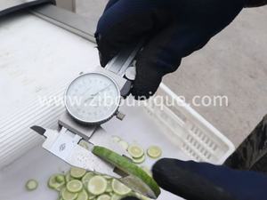 Macchina Automatica per Tagliare <span class=keywords><strong>Lime</strong></span> Affettatrice per Limoni Taglierina a Cuneo - Product Image 5