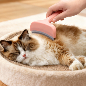 Peine para Eliminar Pelo de Mascotas de Acero Inoxidable Ecológico con Logotipo Personalizado de Fábrica 2026, Cuchilla Curva para Perros y Gatos - Herramientas de Aseo - Product Image 4