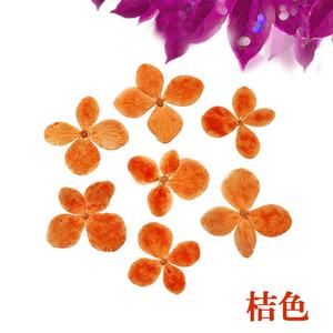 Flor prensada Real seca Hortensia - Product Image 3