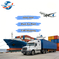 Service d'agent de fret à livraison rapide vers l'entrepôt en France : Express aérien DDP FedEx EXW Nice FBA Marseille