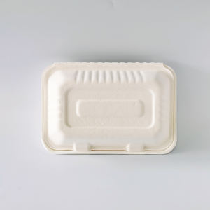 Caja Rectangular Desechable para Sushi de 9x6 Pulgadas, Fabricada con Pulpa de Bagazo de Caña de Azúcar, Modelo MP-5 - Product Image 4