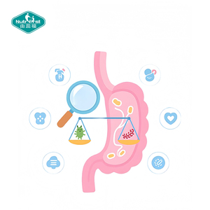 Nutrifirst Customized OEM Private Label <strong>Probiotics</strong> for Digestive Health Supports <strong>Tablets</strong> - Product Image 3