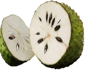 Rodajas de Fruta de Guanábana (<span class=keywords><strong>Annona</strong></span> Muricata) 100% Naturales y Secas, Fruta Deshidratada de Corossol, Cortes de Fruta Seca de Guanábana en Venta - Product Image 2