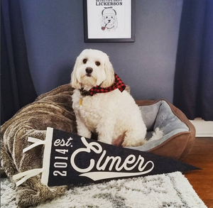 Wholesale Wall Big String <strong>Custom</strong> Sporty Football Team Triangle Felt Pennant Flags, Polyester Happy Birthday <strong>Banner</strong> - Product Image 4