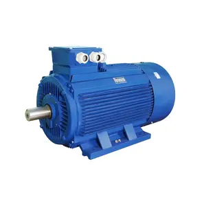 Y2 Series Heavy Duty Induction Motor 45kw 200kw 10 Pole 315mm 590rpm 380v/110v/400v 50/60Hz Three-Phase Heavy Duty Applications